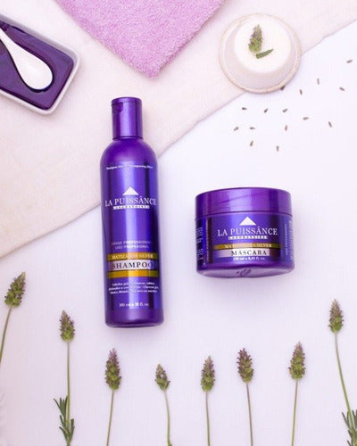 Máscara La Puissance Silver Linea Profesional X250ml