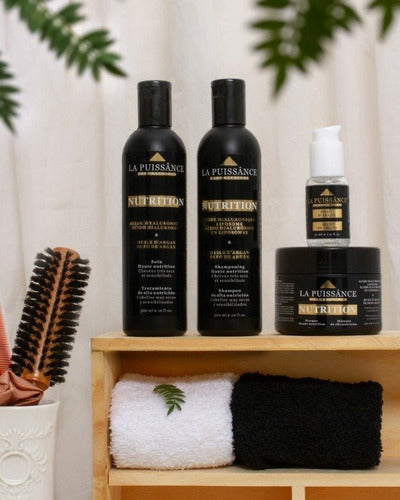Shampoo 300 Ml + Mascara 250 Gr La Puissance Oleo De Argán