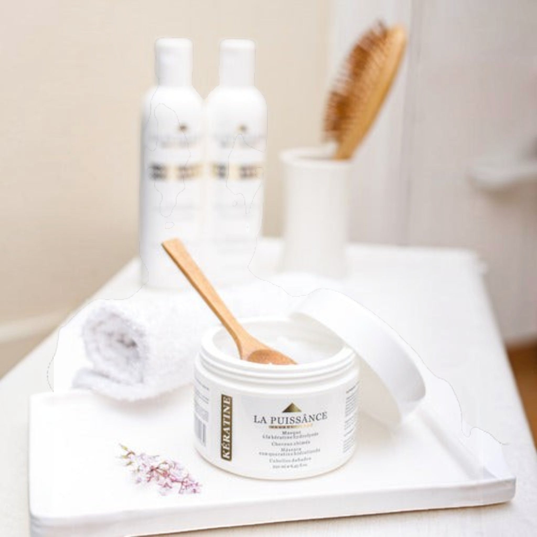Kit La Puissance Tratamiento Keratina + Tratamiento Argan