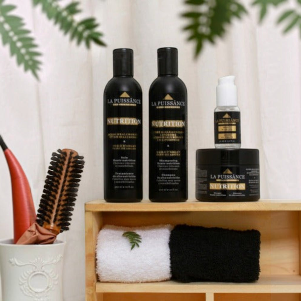 Kit La Puissance Argan Acondicionador X300ml + Mascara 250ml