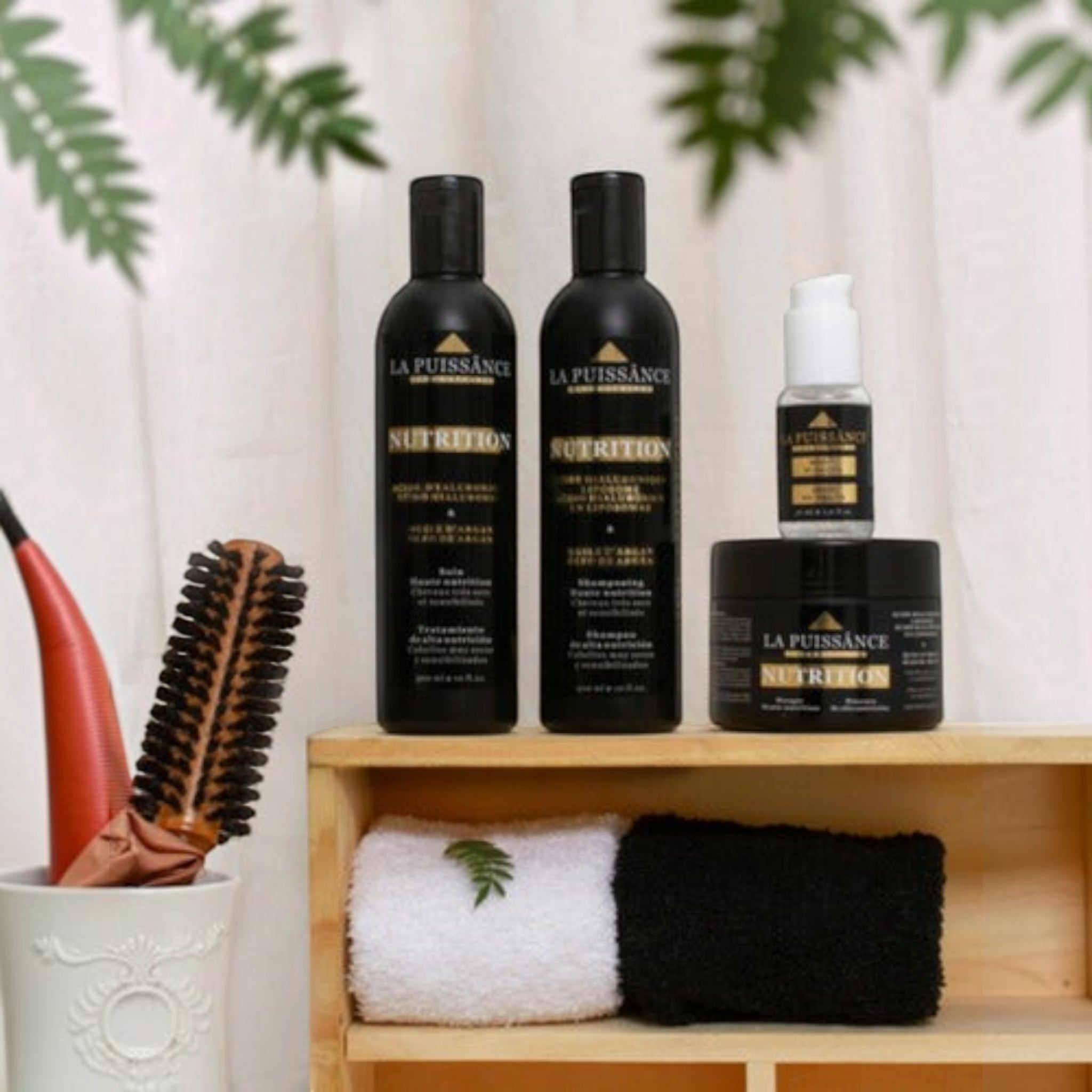 Kit La Puissance Argan Acondicionador X300ml + Mascara 250ml