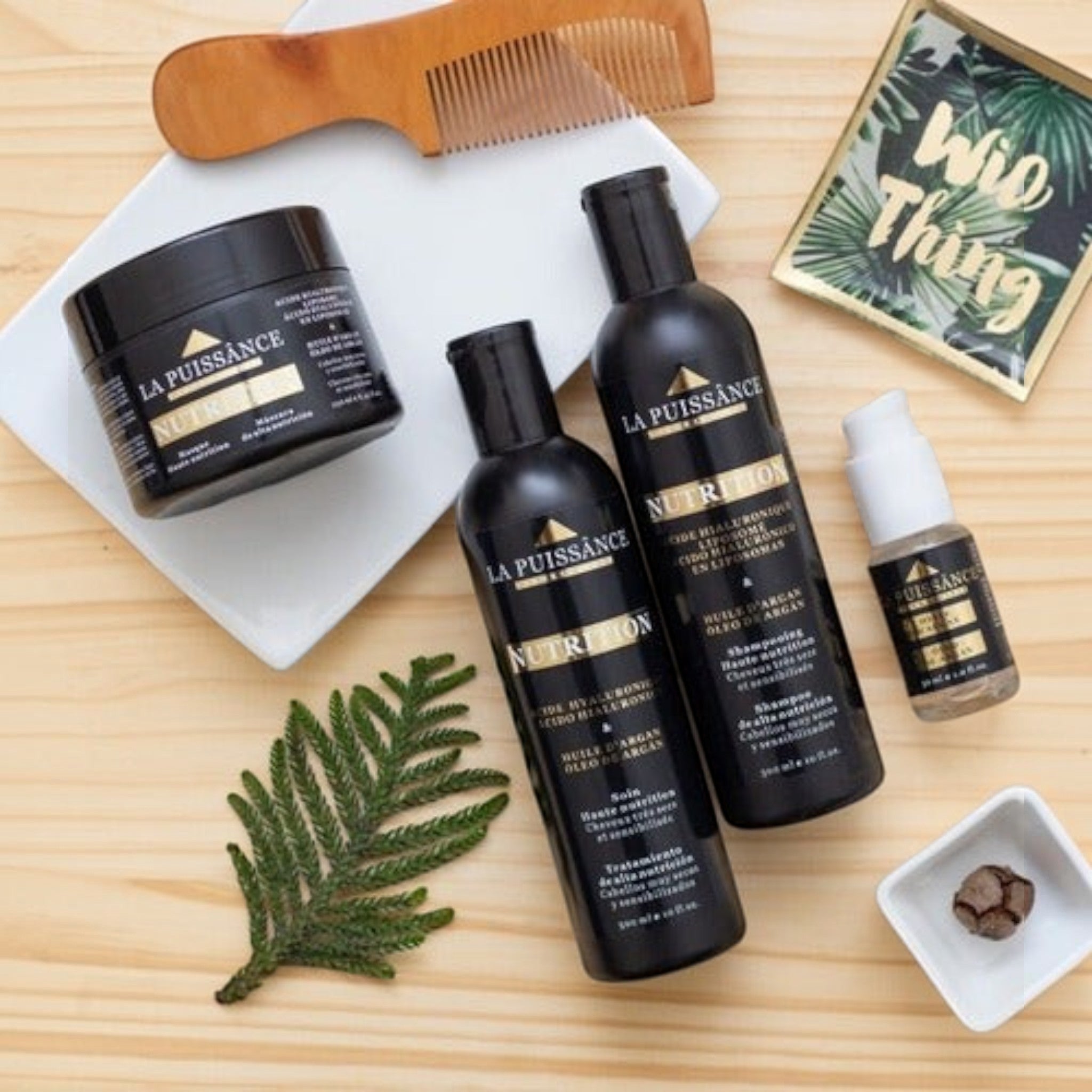 Kit La Puissance Argan Acondicionador X300ml + Mascara 250ml