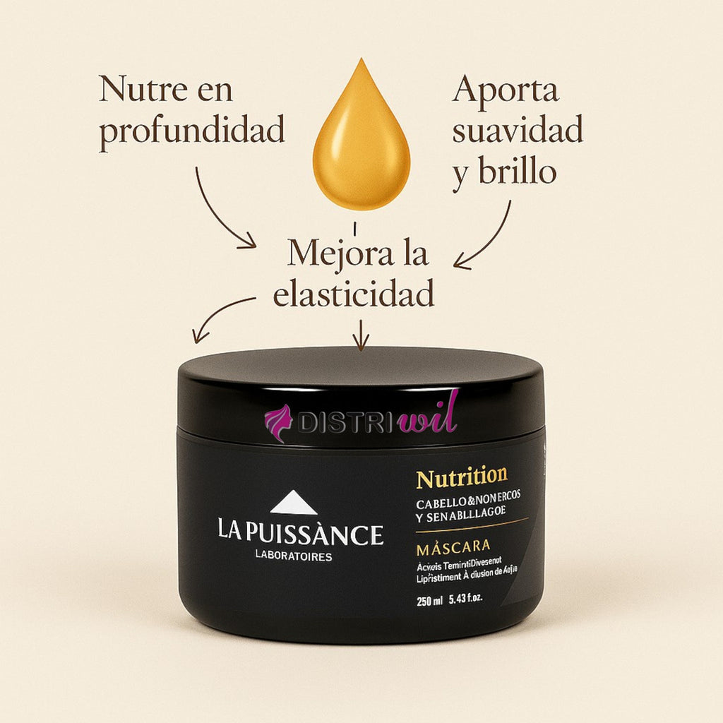 Mascara Capilar Nutricion La Puissance Acido Hialuronico En Liposomas Con Argan X250g Cabello Muy Seco - Uso Profesional Hidratacion Brillo Suavidad Humectacion Renovacion Restauradora
