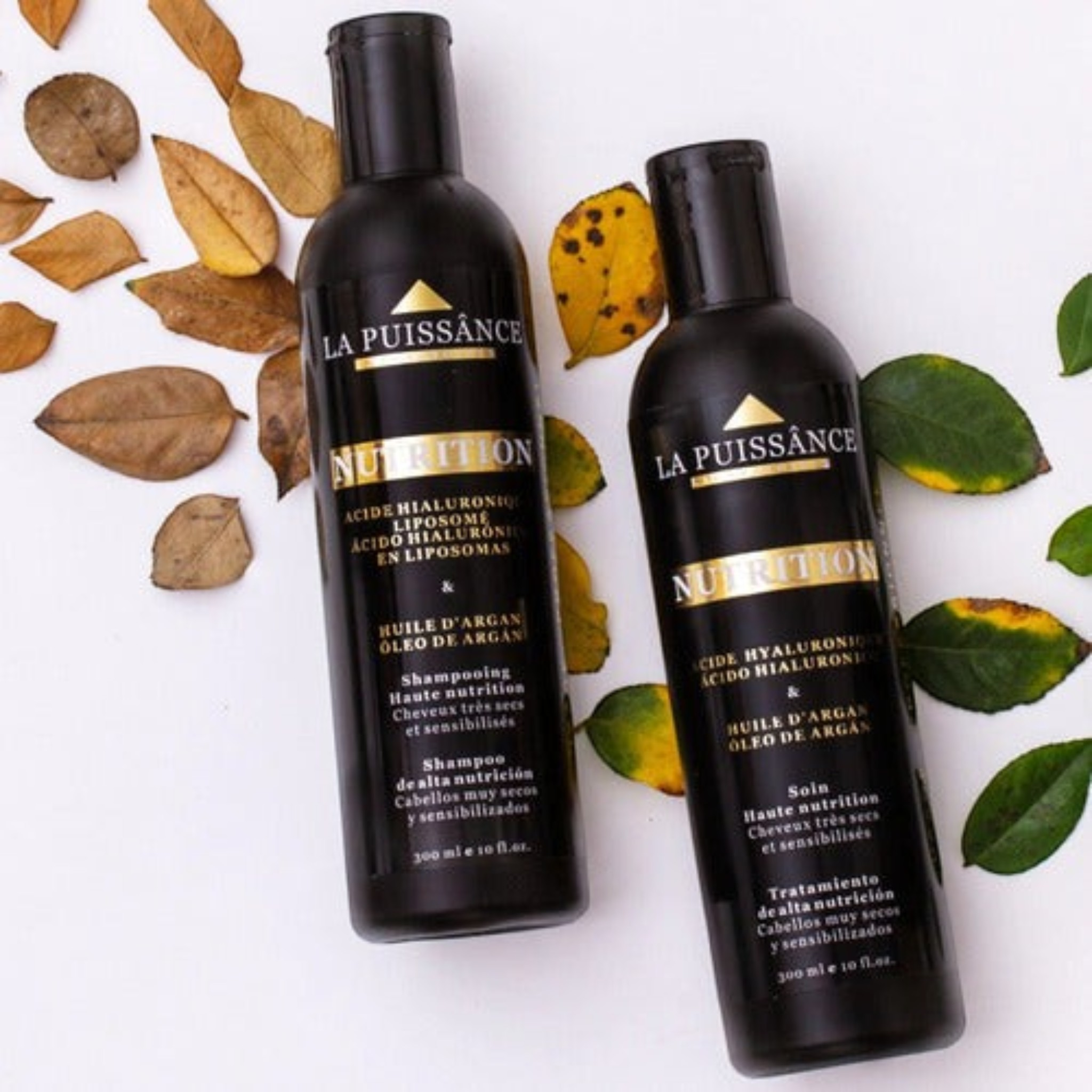 Kit Distriwil La Puissance con shampoo y acondicionador de argán en envases negros sobre fondo blanco con hojas secas