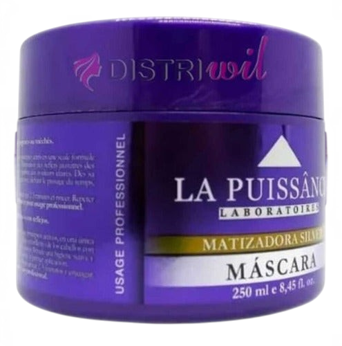 Tarro de mascara capilar matizadora Silver de Distriwil para cabellos rubios y grises con pigmentos violetas