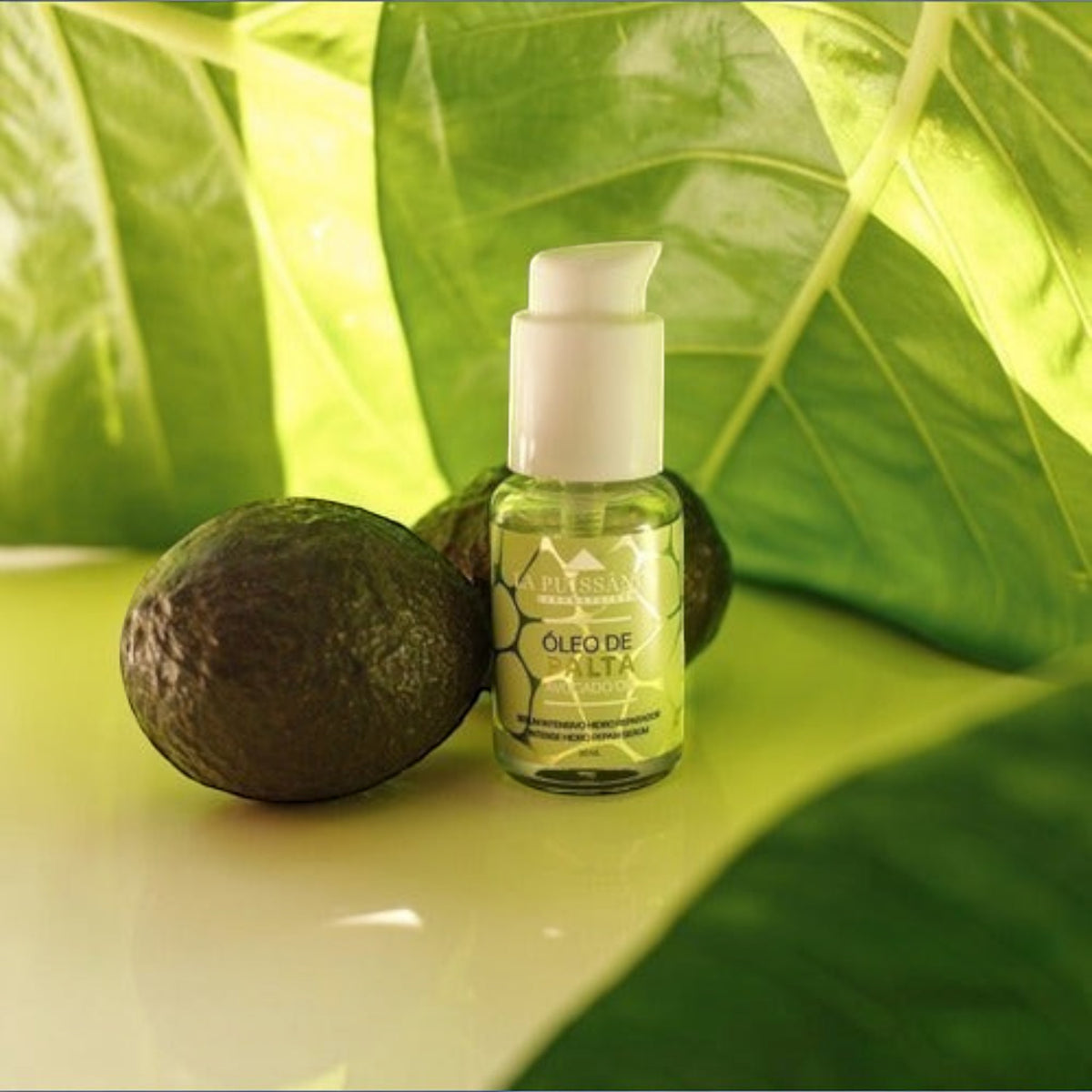 Distriwil Sérum reparador de aguacate para cabello seco y dañado, con aplicador de pump.
