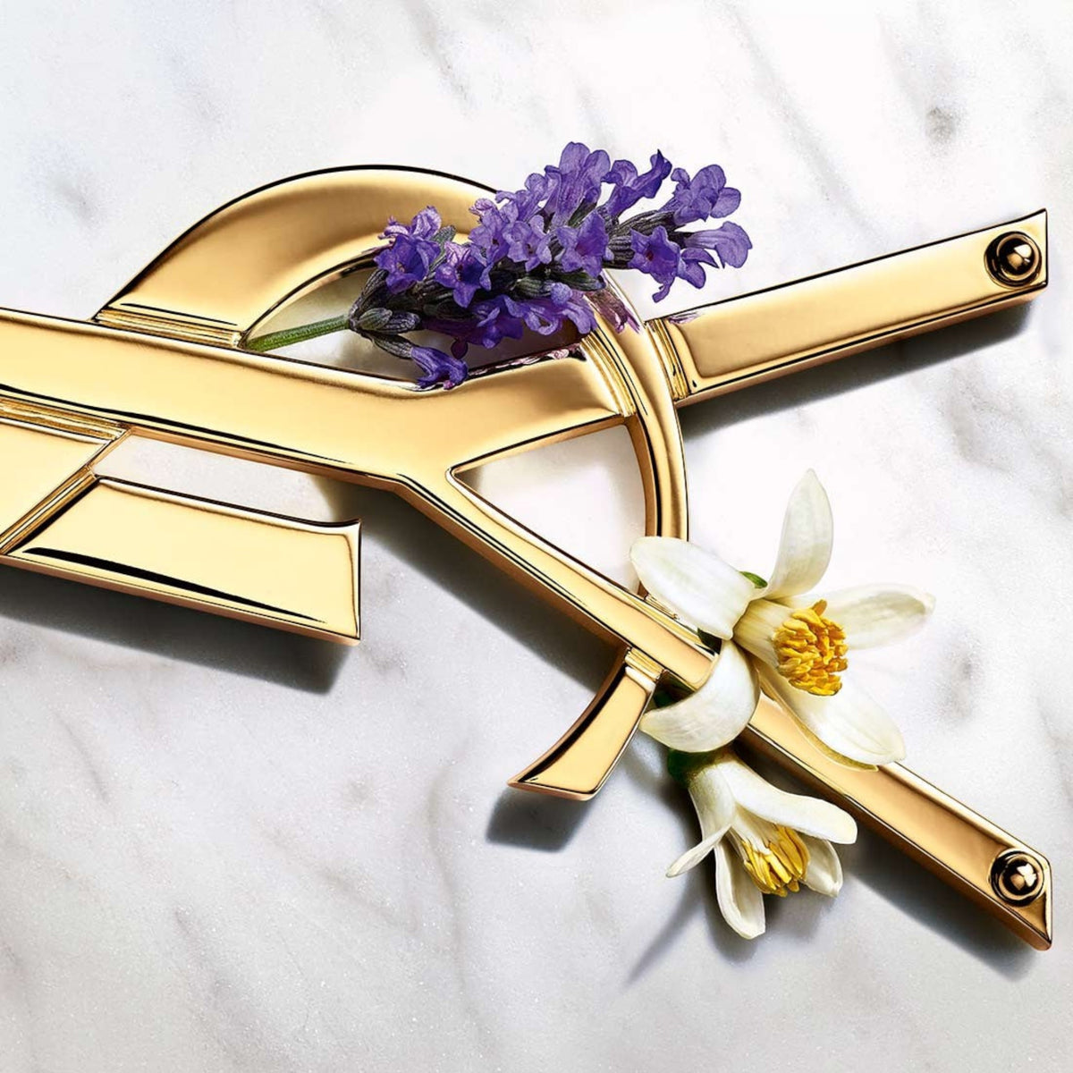 Logotipo dorado de Yves Saint Laurent Libre con flores de lavanda y azahar sobre fondo de mármol en Distriwil